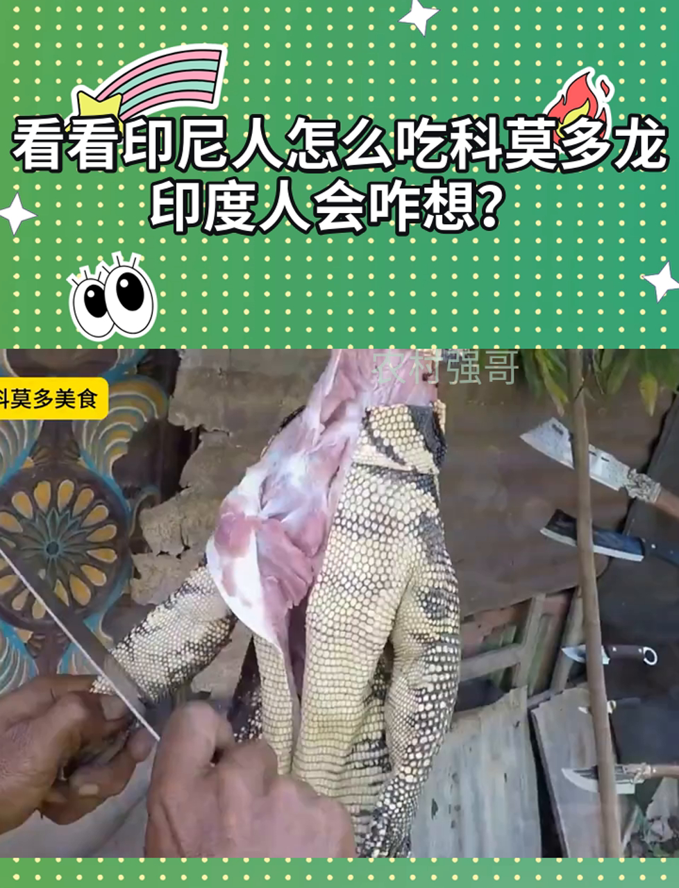 看看印尼人怎么吃科莫多龙,印度人会咋想?