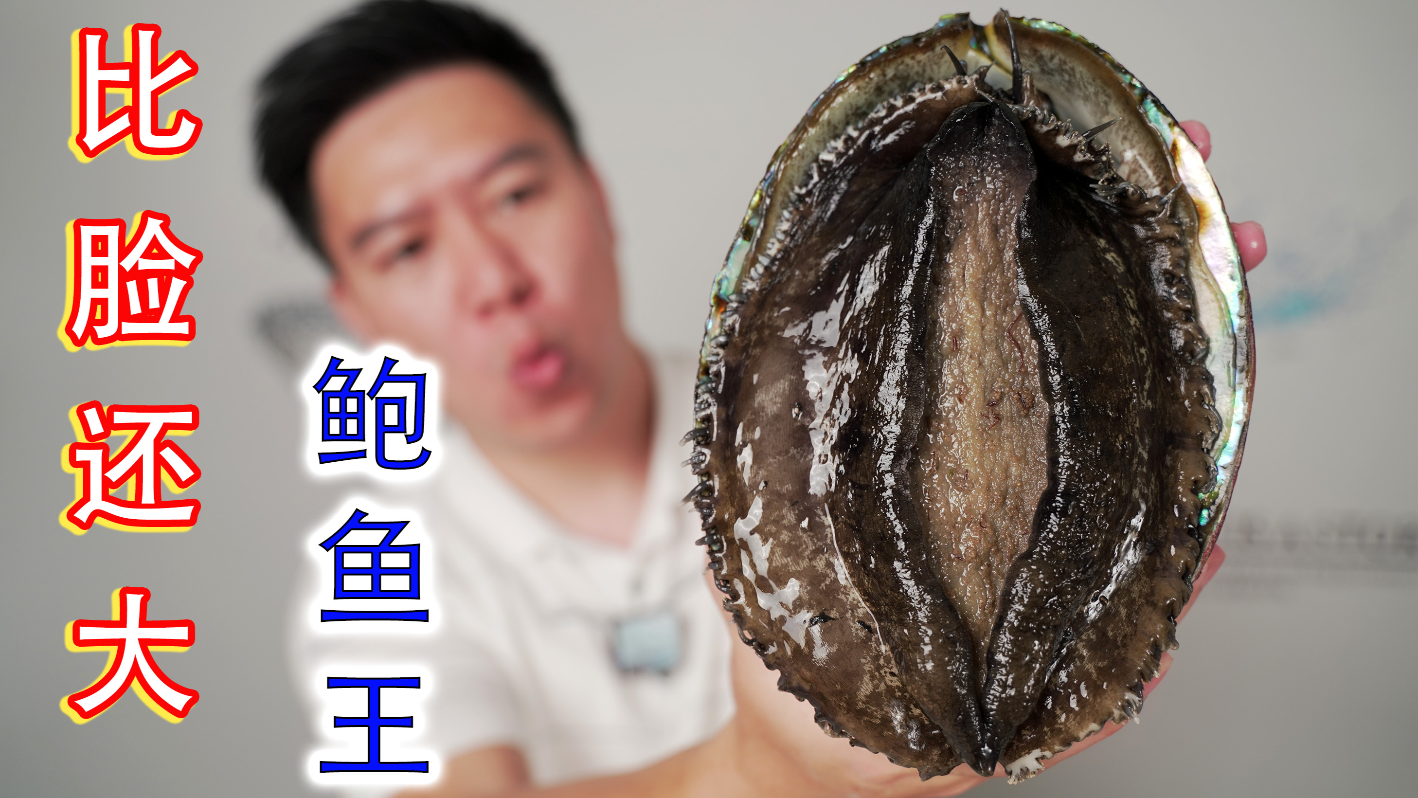 巨大美国绿鲍，比脸还大，这是我吃过最大最贵的鲍鱼