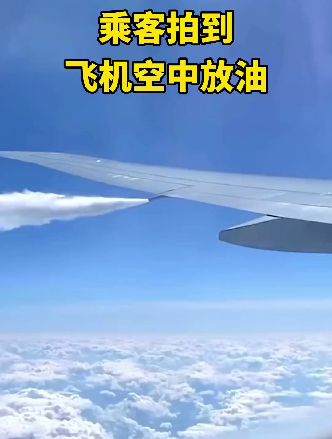 乘客拍到飞机在万米高空放油