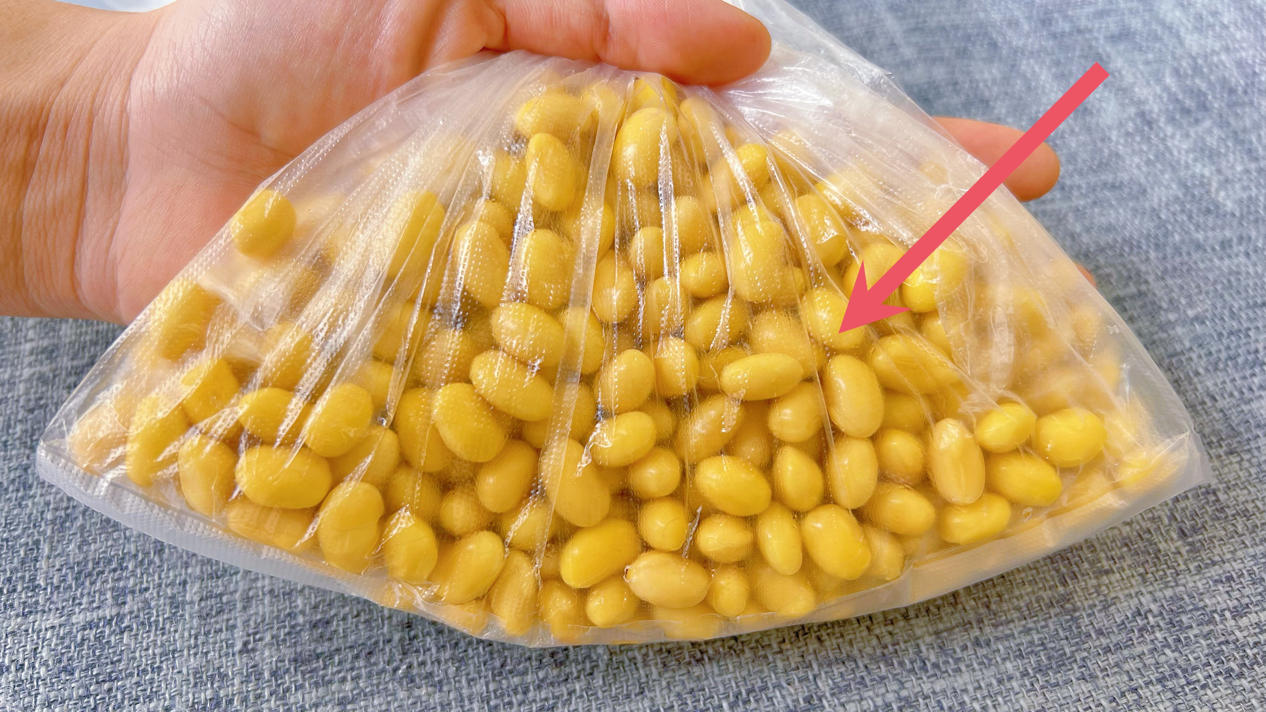 生黄豆芽还能这么简单，只需一个塑料袋就搞定，3天就能吃，真棒