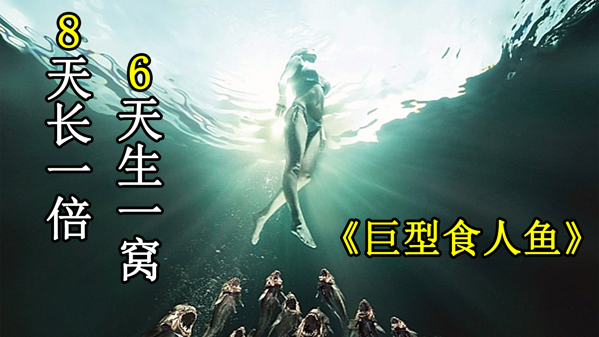 又是一部脑洞大开的电影，食人鱼变异战舰都轰不死，惊悚片第1集