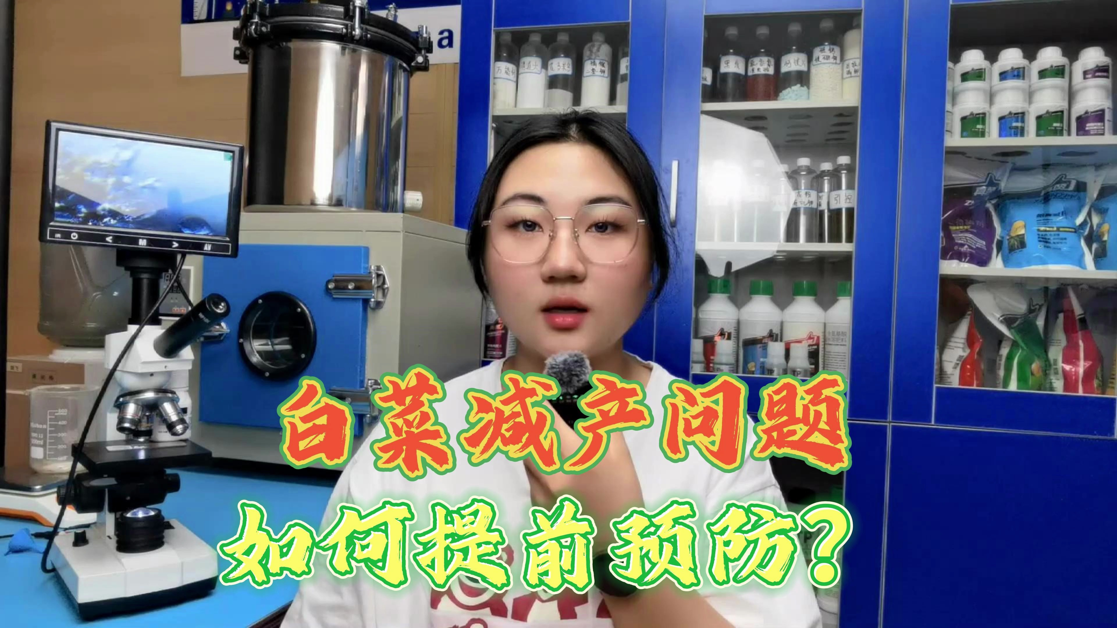 白菜致命三大病害您了解吗?白菜严重减产的原因?软腐病怎么办?