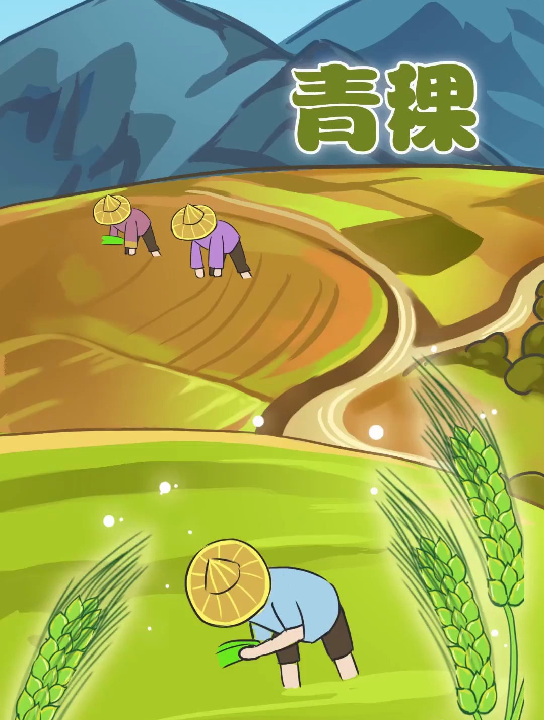 青稞你是不是只听过却没有见过呢