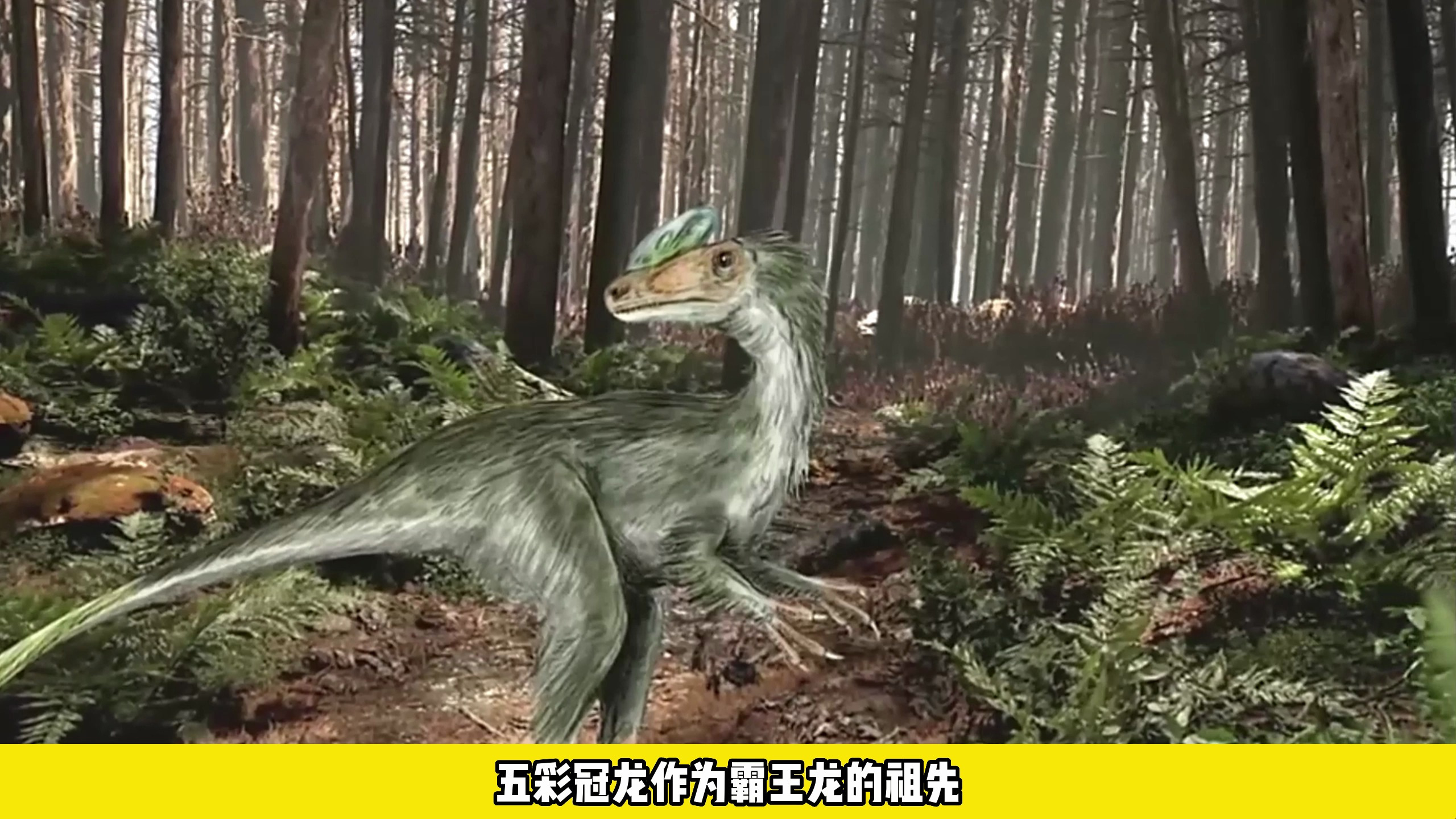 霸王龙短小的前肢有什么用?