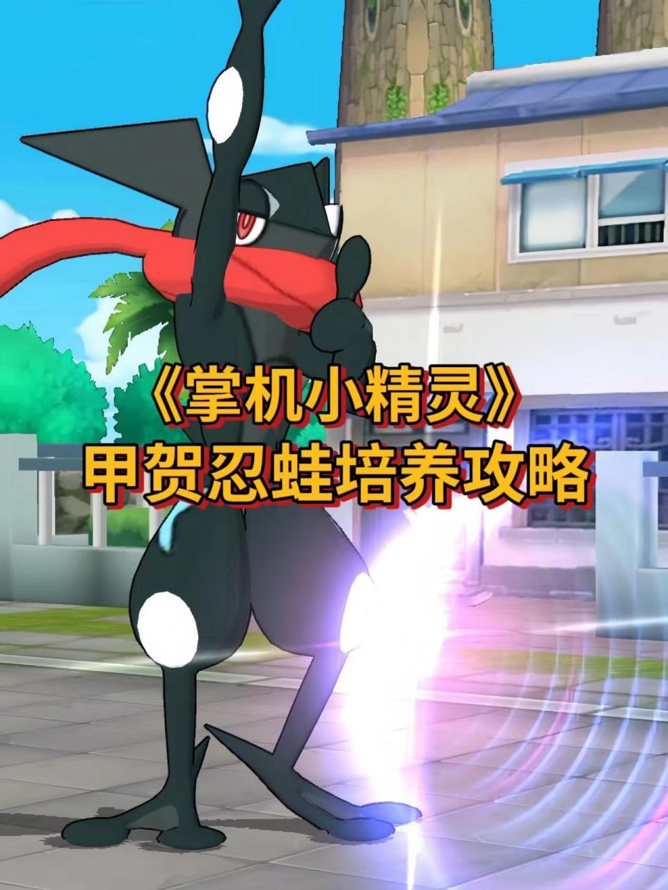 《掌机小精灵》周年庆白嫖一只闪光甲贺忍蛙~大鼻孔教你怎么养!