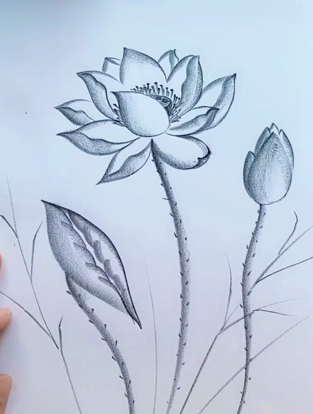 花朵画一支图片