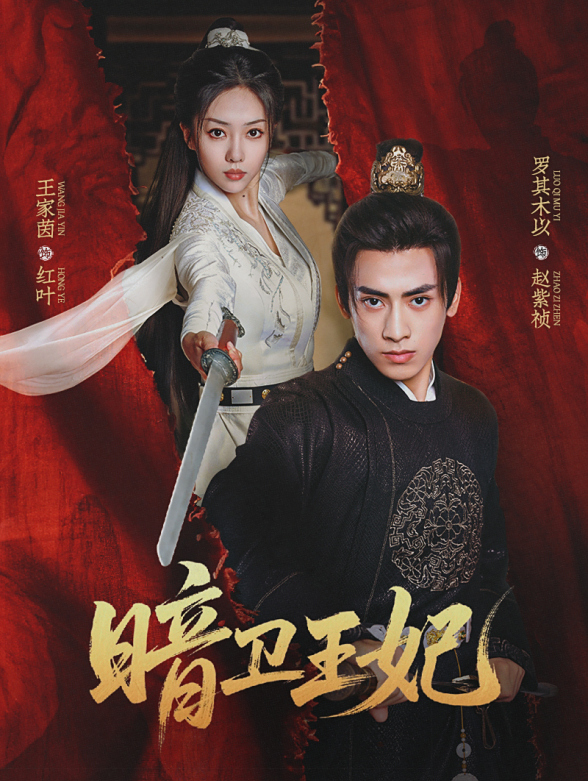暗卫王妃封面图