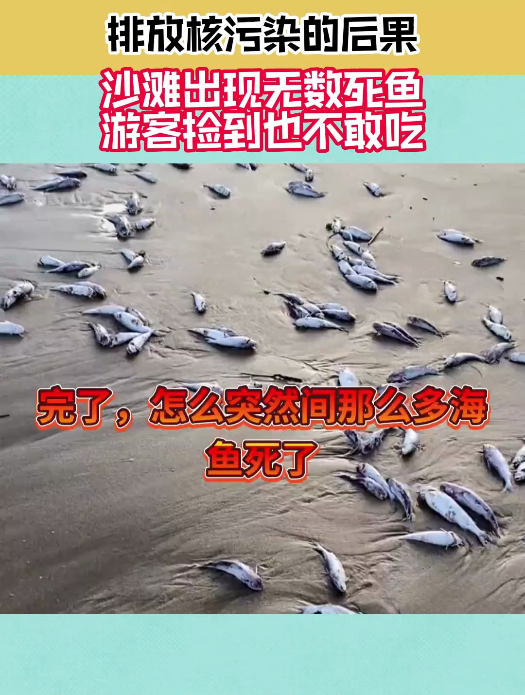 排放核汙染的後果,沙灘出現無數死魚,遊客撿到也不敢吃