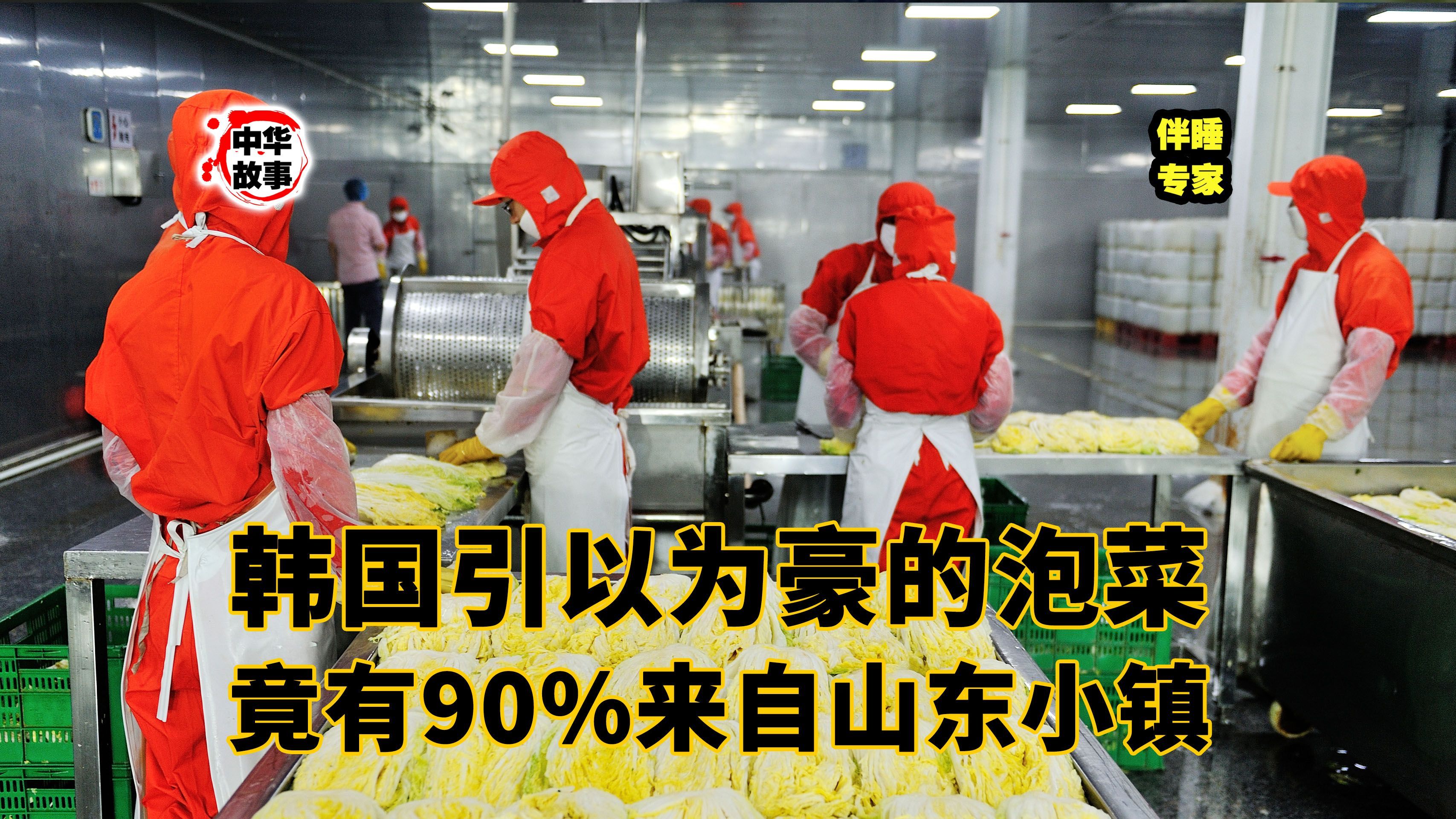 「中国神奇小镇系列」韩国人吃的泡菜90%来自这个山东小镇