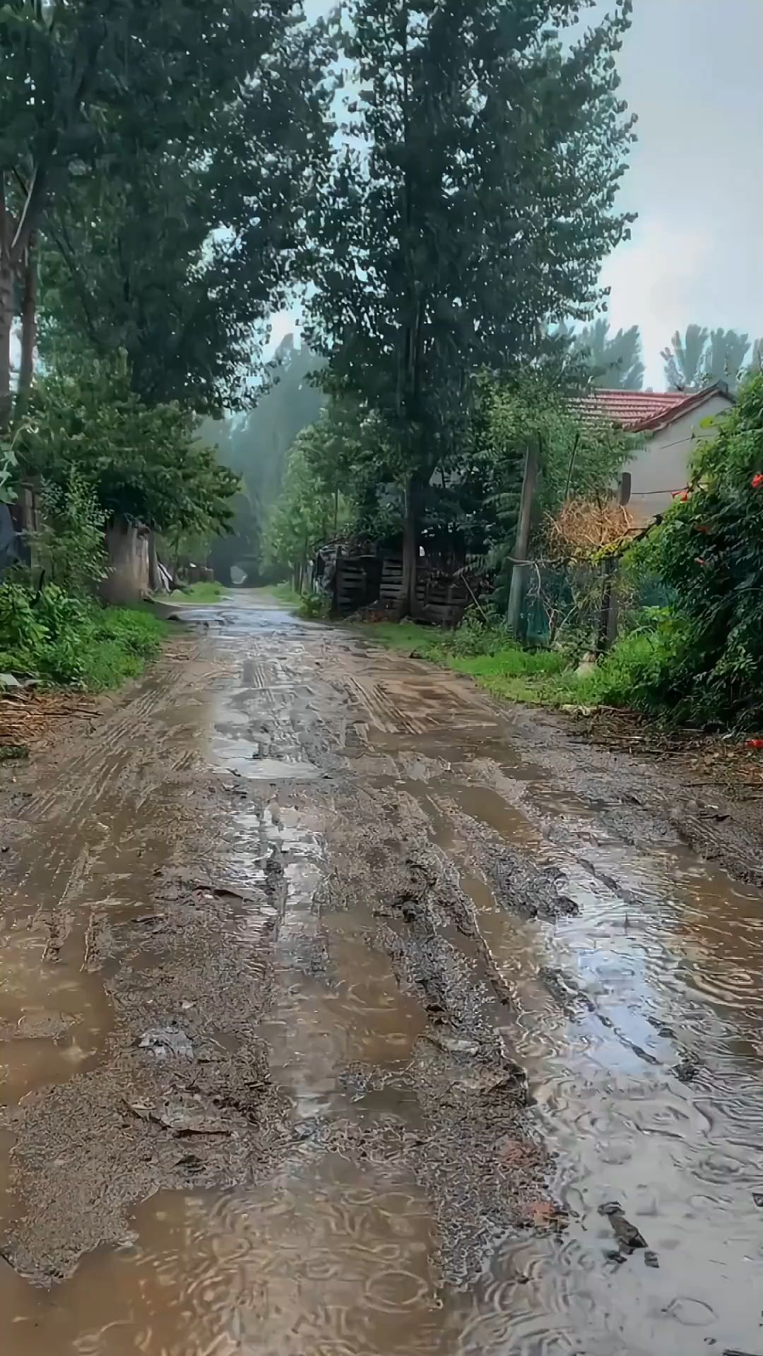 小时候下雨的场景历历在目