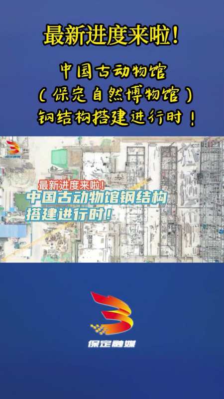 最新进度来啦中国古动物馆保定自然博物馆钢结构搭建进行时保定中国古