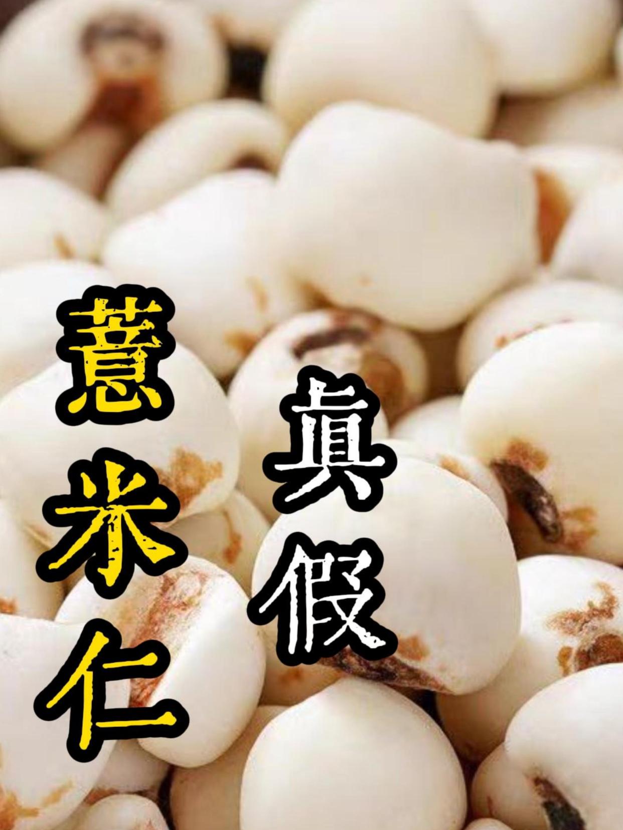 薏米仁的真假辨别你知道吗?