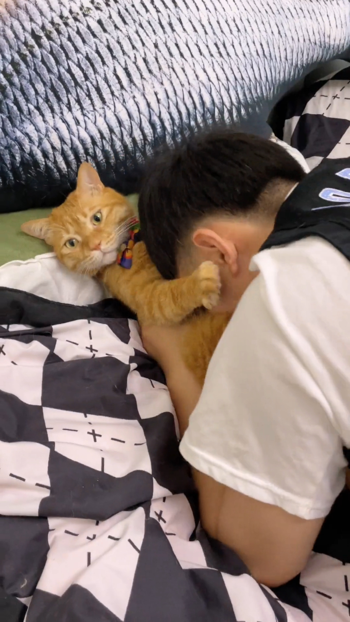 别的是人吸猫到我变成了猫吸人