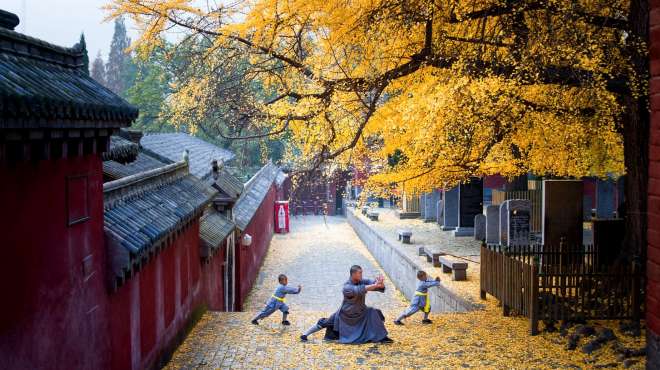 少林寺释延岑 好看视频