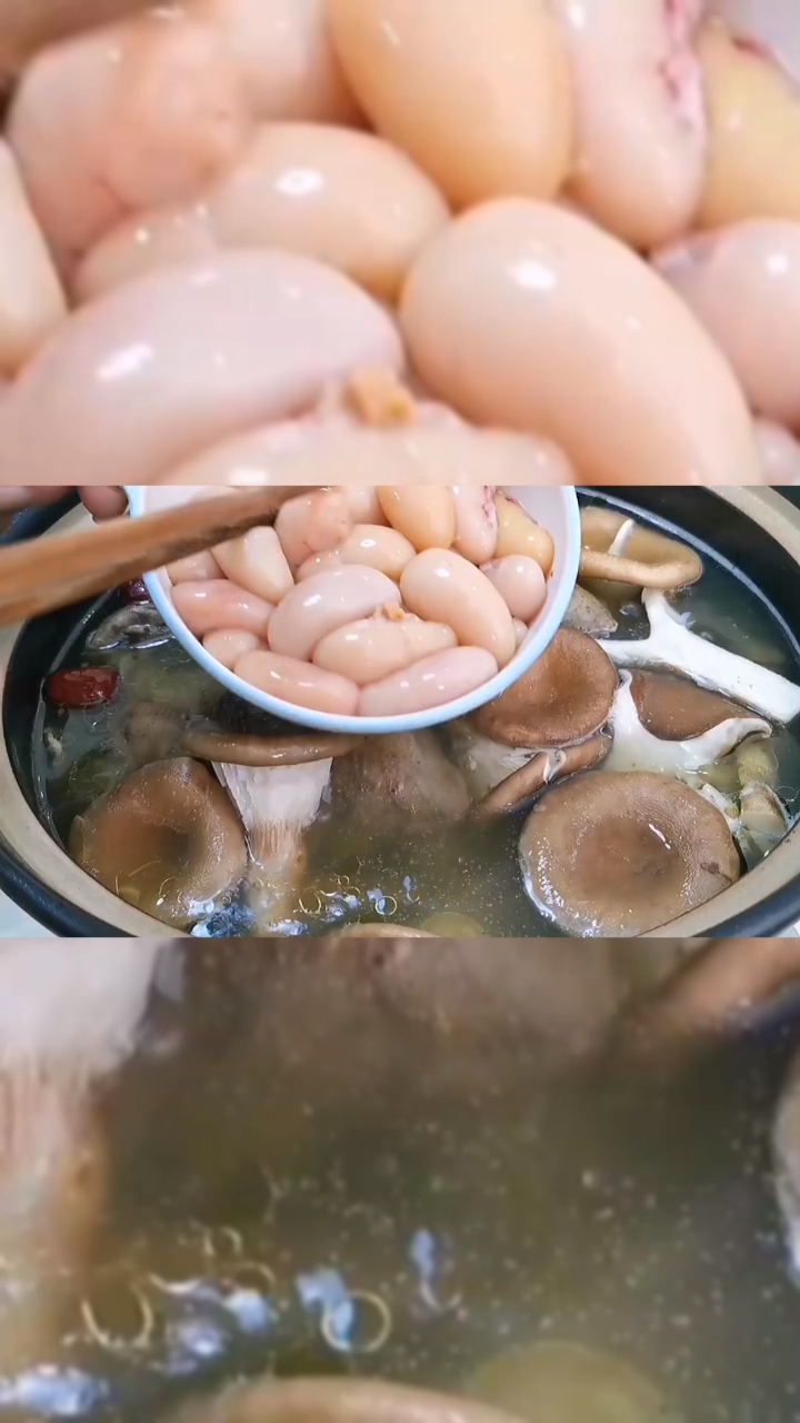 2只老鸽,生蚝,鸡腰,做清炖大补汤!