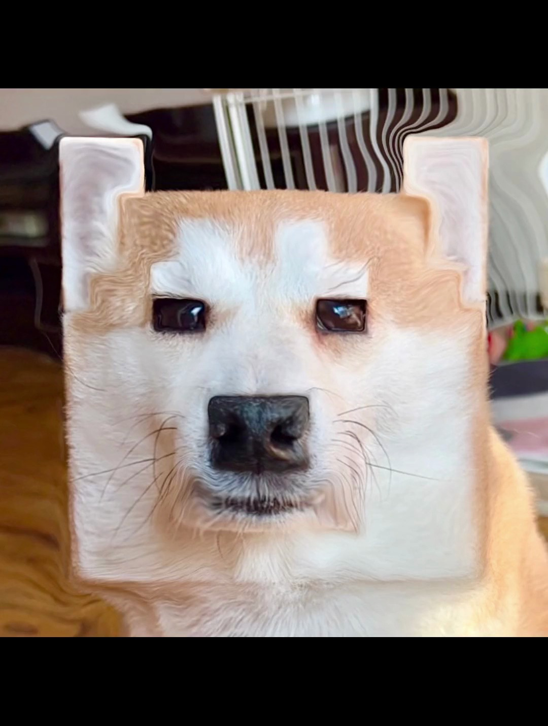 十月的方块脸太丑了 哈哈哈哈