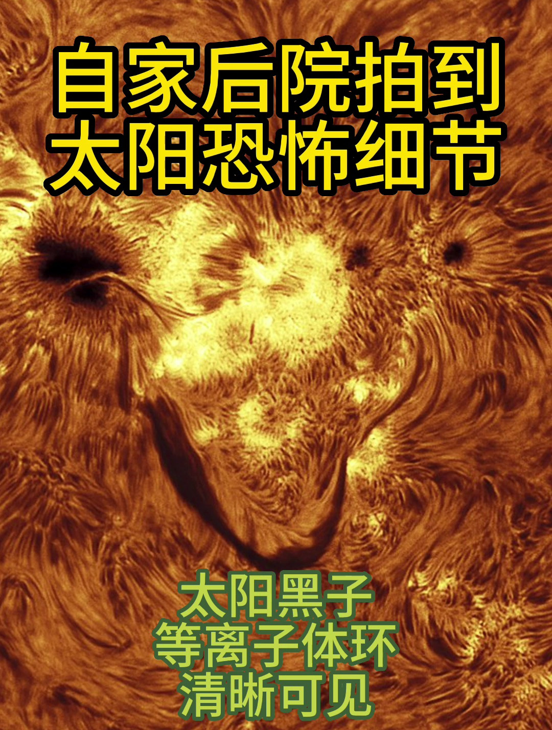 自家後院拍到太陽恐怖細節,太陽黑子和等離子環清晰可見