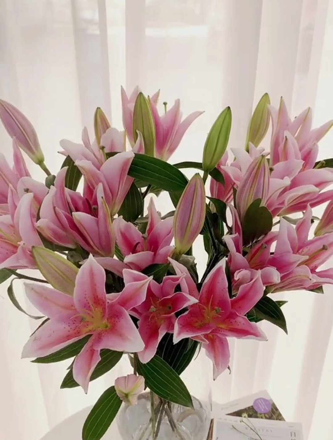 家居百合瓶花教程,三头帝伯百合瓶插花,零基础插花教学-度小视