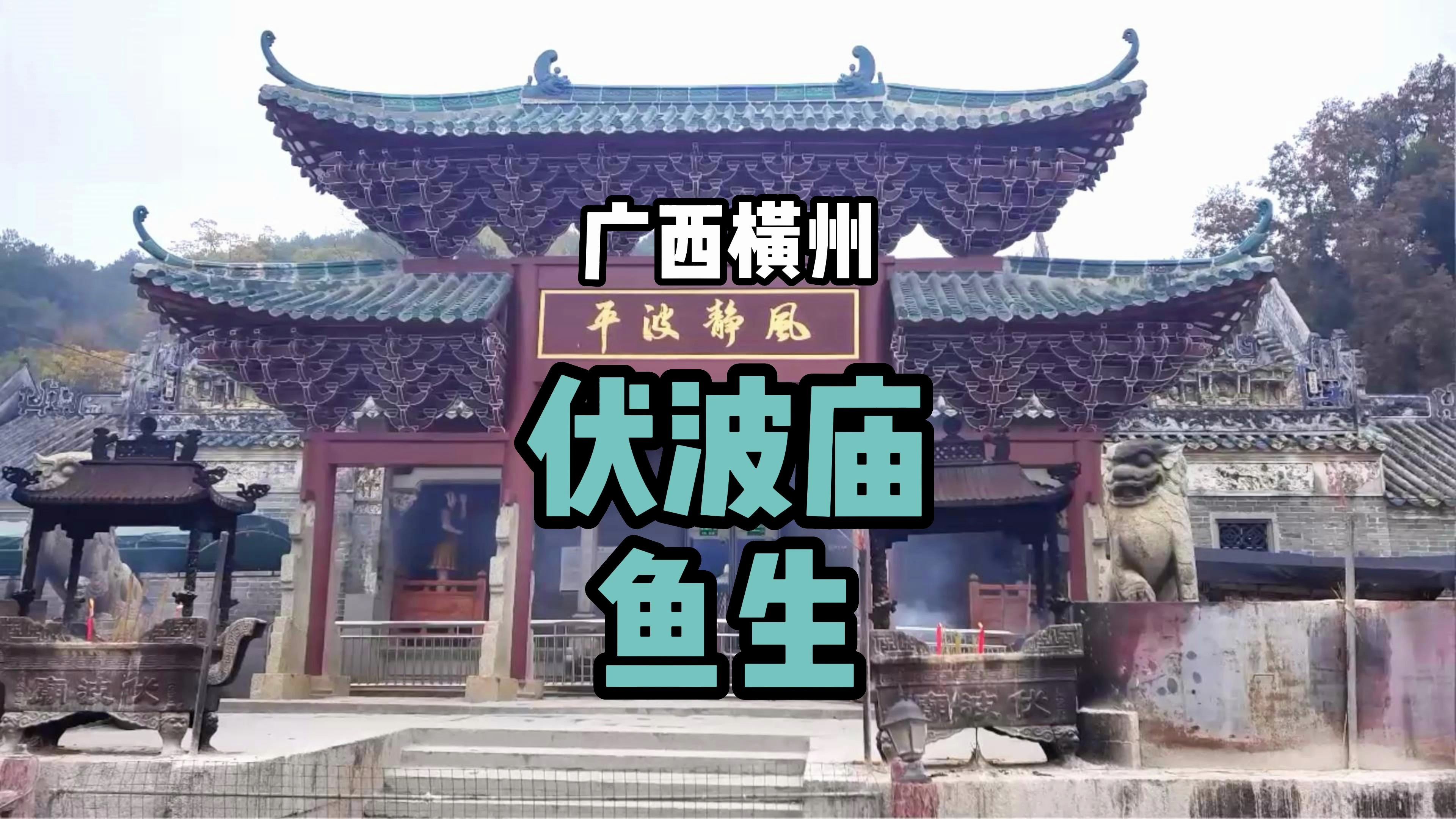 「广西横州」伏波庙与鱼生