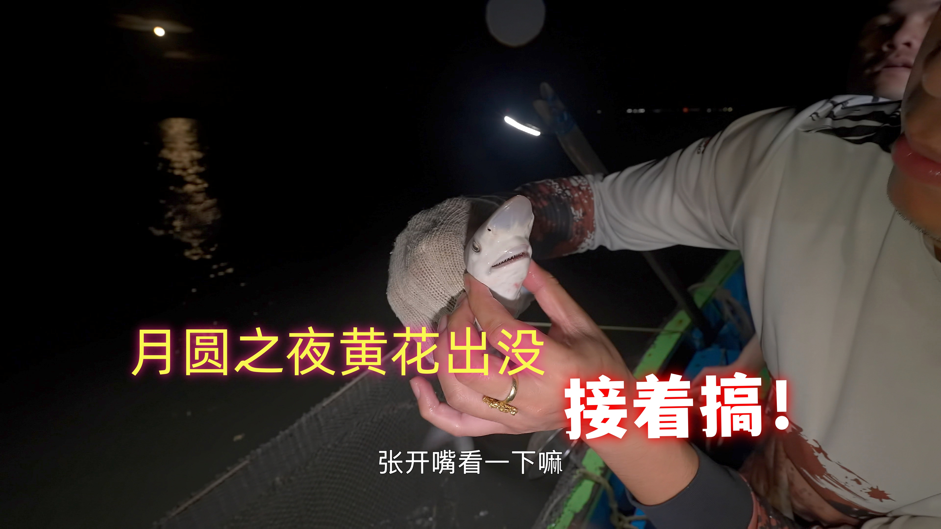 经不住大黄鱼的诱惑，大潮冒着网破的风险去深水区，富贵险中求