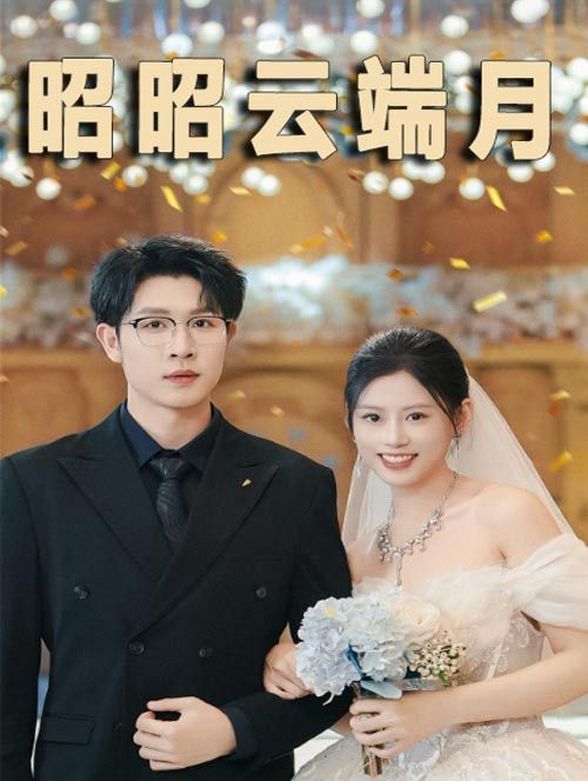 昭昭云端月