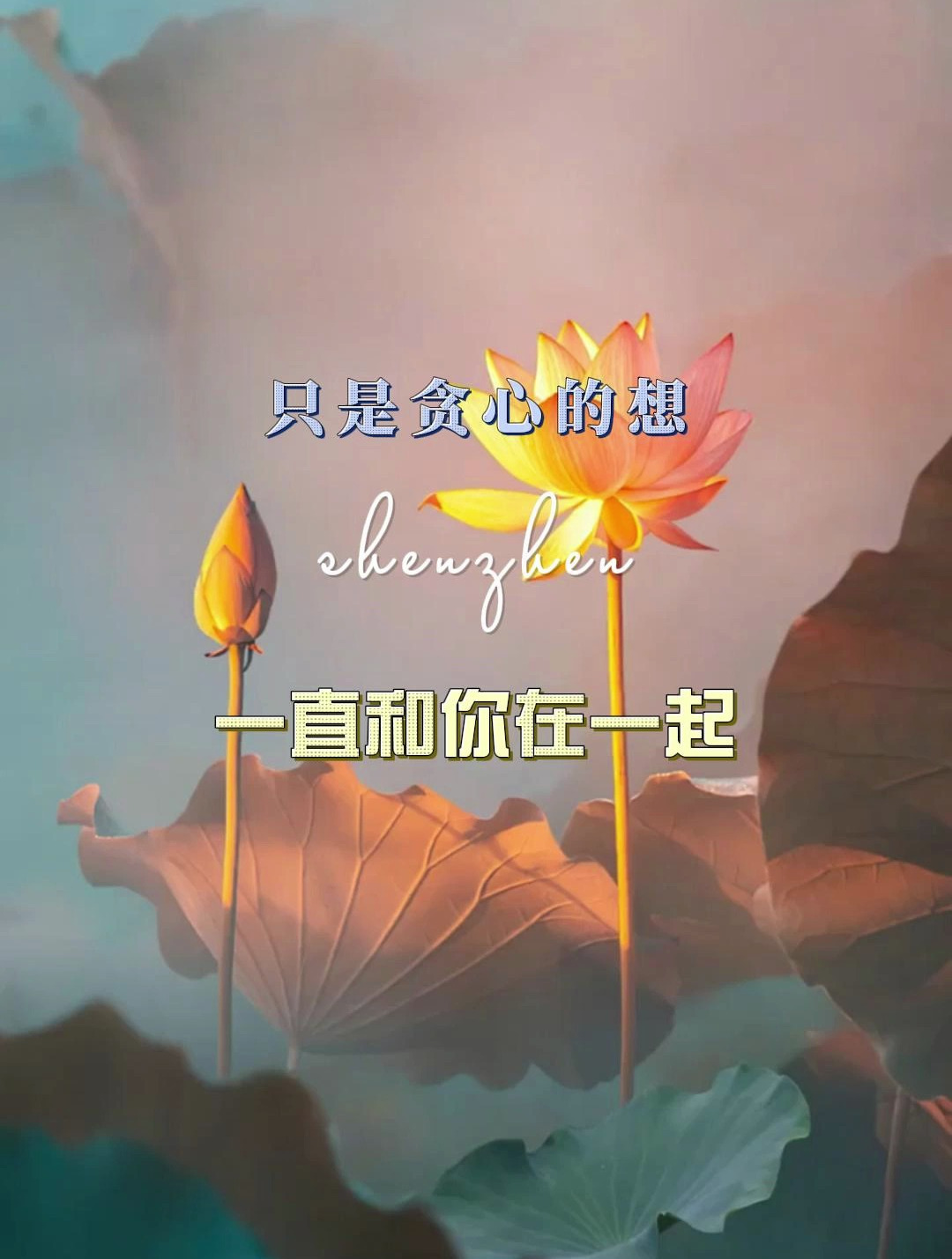 只是贪心的想一直和你在一起