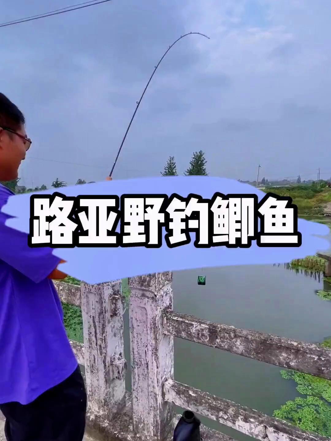路亚鲫鱼鲤鱼 钓鱼人 野钓随时有惊喜 路亚的奇葩操作