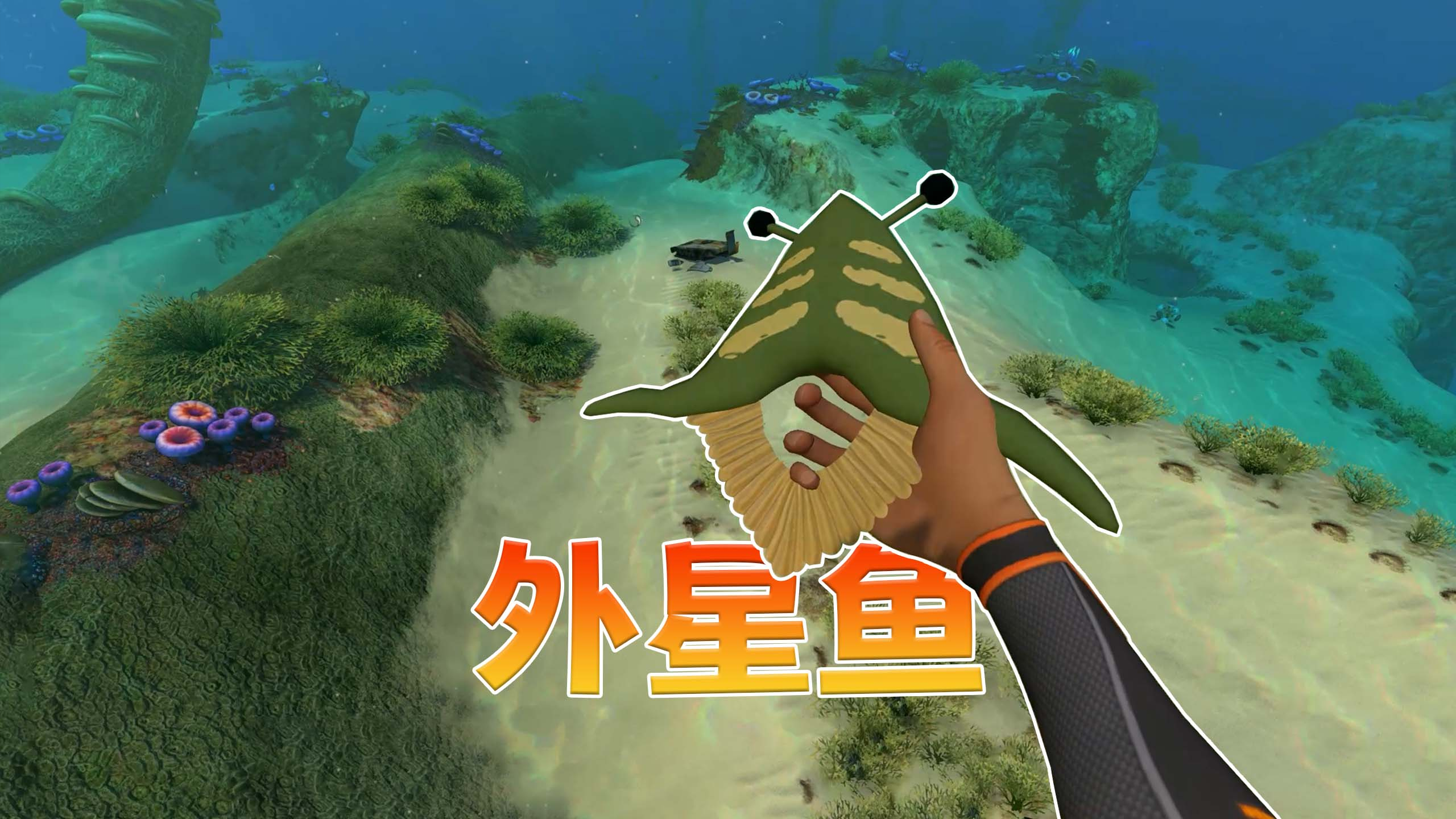 深海迷航01:抓到一只外星鱼 长得好像三角回旋镖