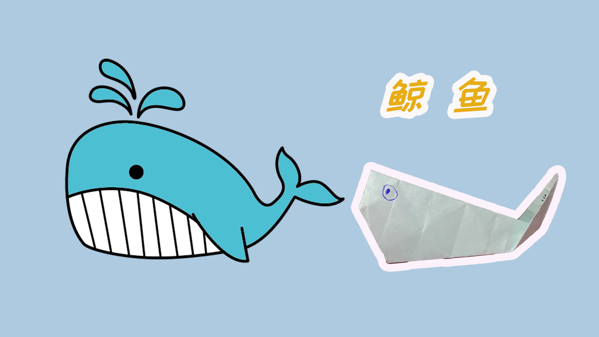 喷水的鲸鱼胖乎乎,太可爱了,折纸鲸鱼也很可爱!