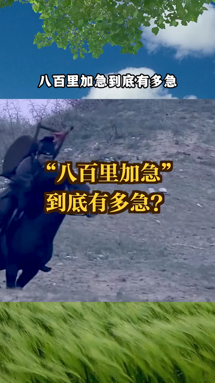 "八百里加急",到底有多急?