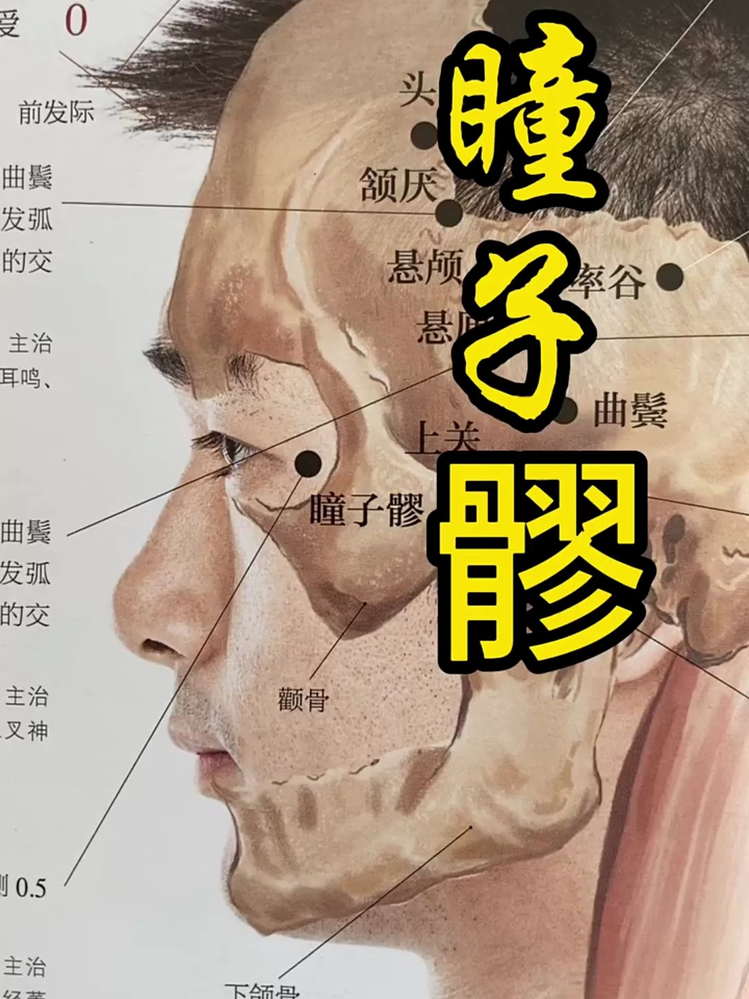 瞳子髎,顾名思义它的作用与眼部有关