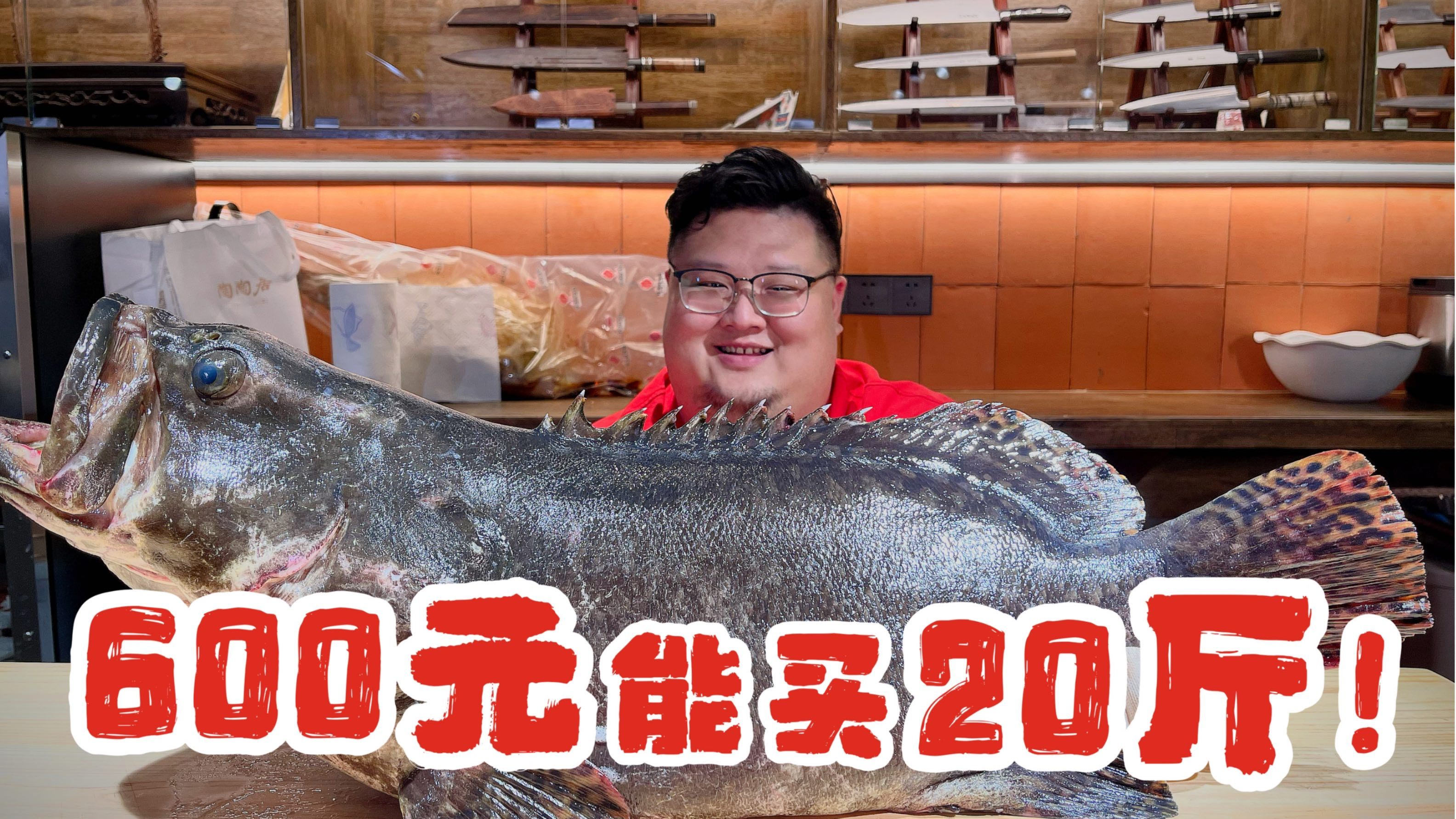 别看不起养殖鱼,只要够大,一样能称霸～～～便宜的龙趸石斑鱼!