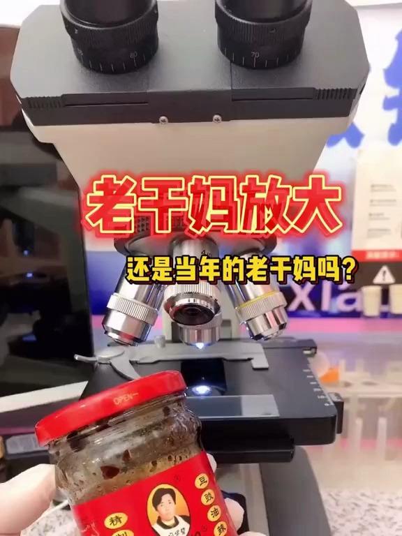 显微镜下的世界,老干妈放大后的样子你见过吗?