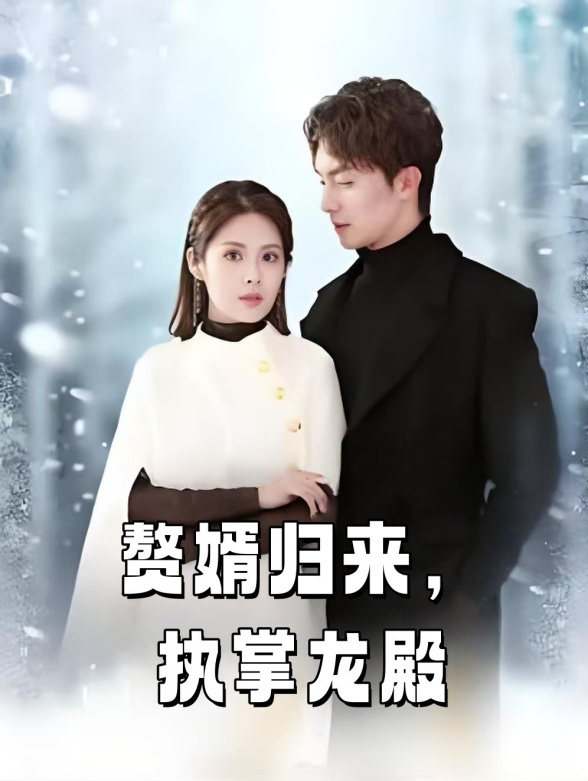 赘婿归来执掌龙殿