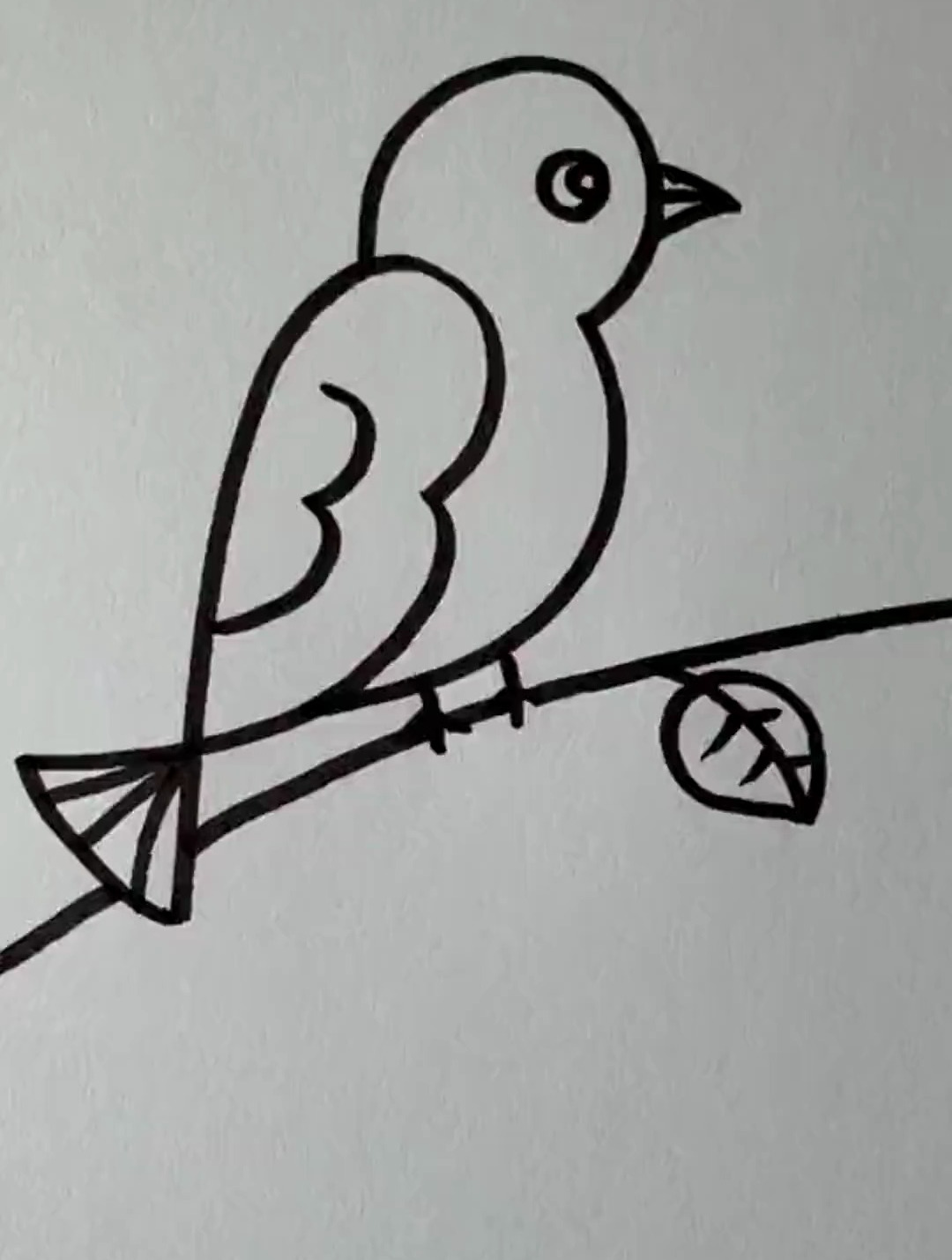 22画小鸟的简笔画 简单图片