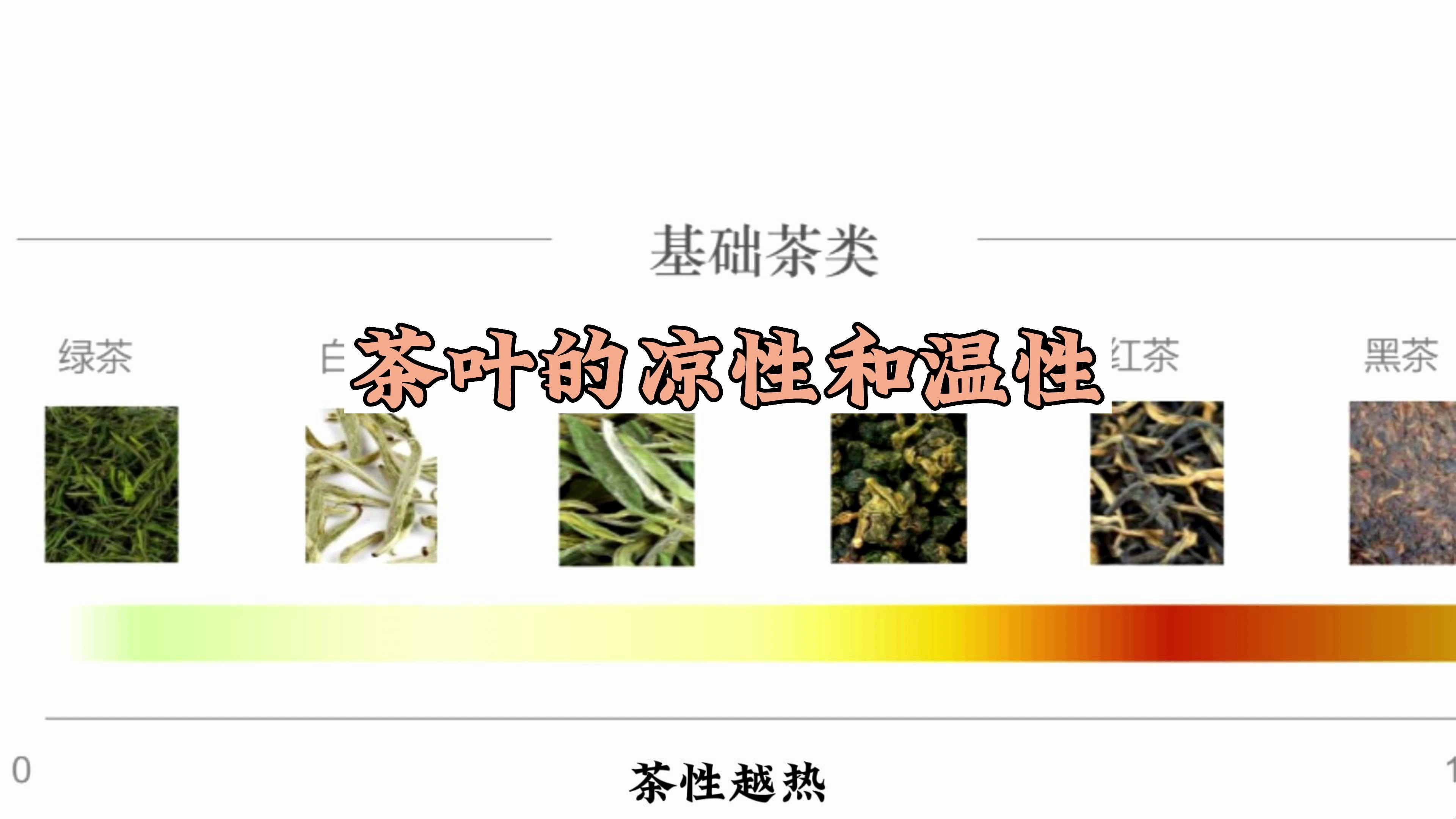 茶知识科普:茶叶温性、凉性如何区分?