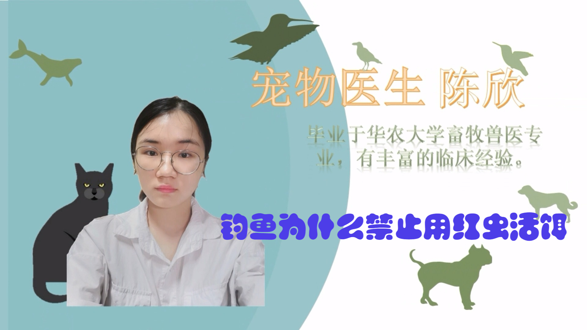 钓鱼为什么禁止用红虫活饵