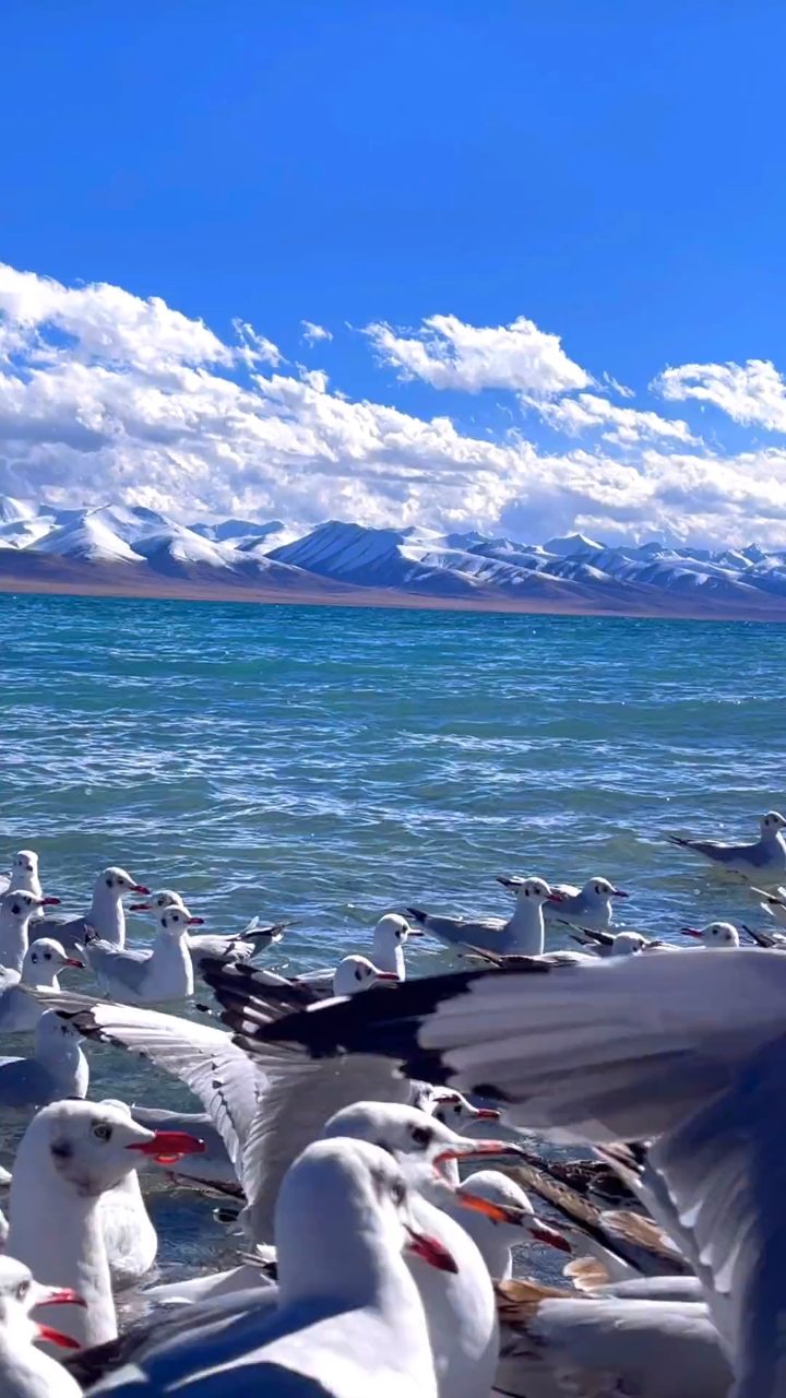 千万不要一个人来西藏纳木措,我怕美哭了没人帮你擦眼泪