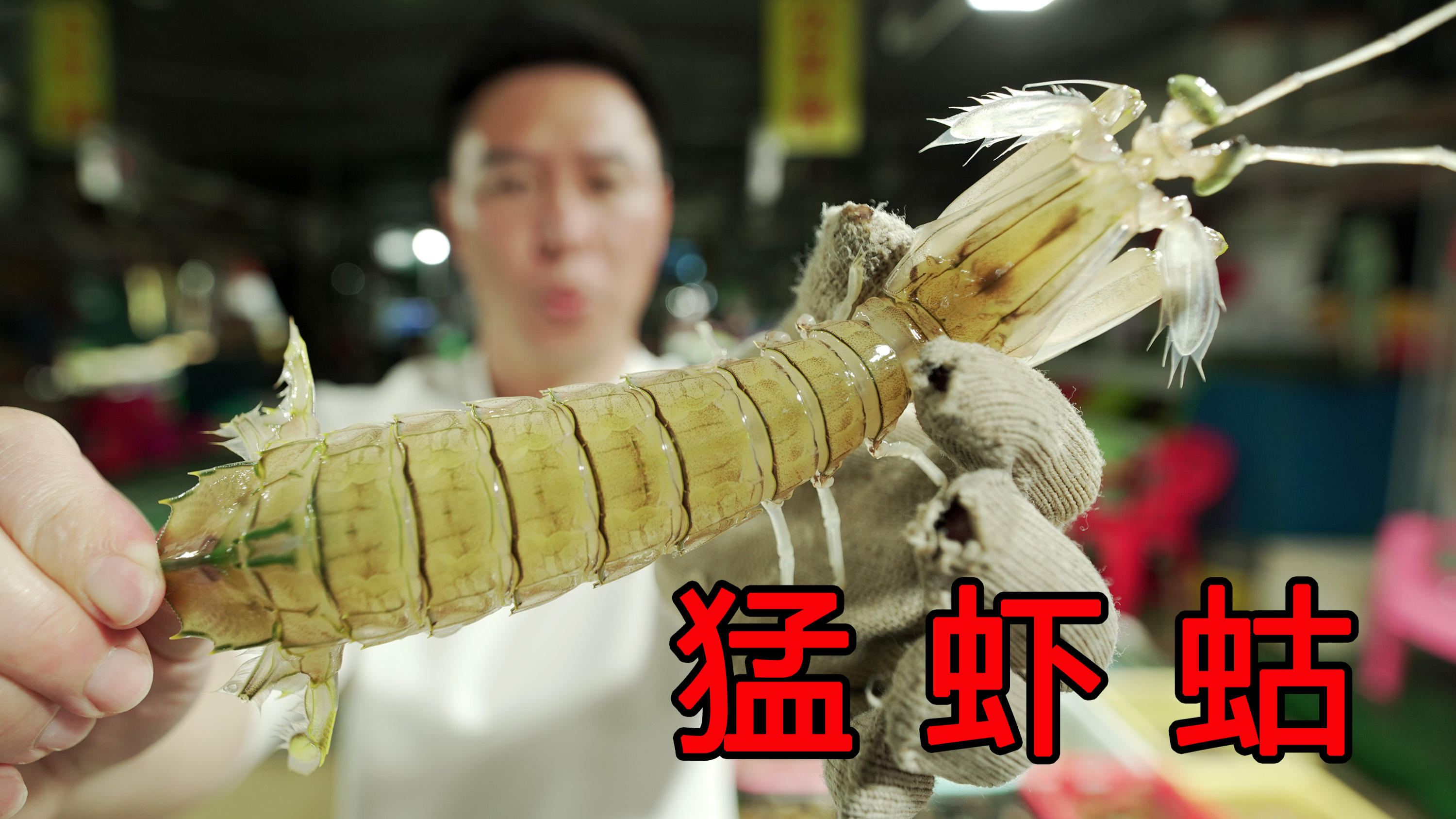 逛惠州码头居然发现猛虾蛄，吊打泰国富贵虾，性价比超高