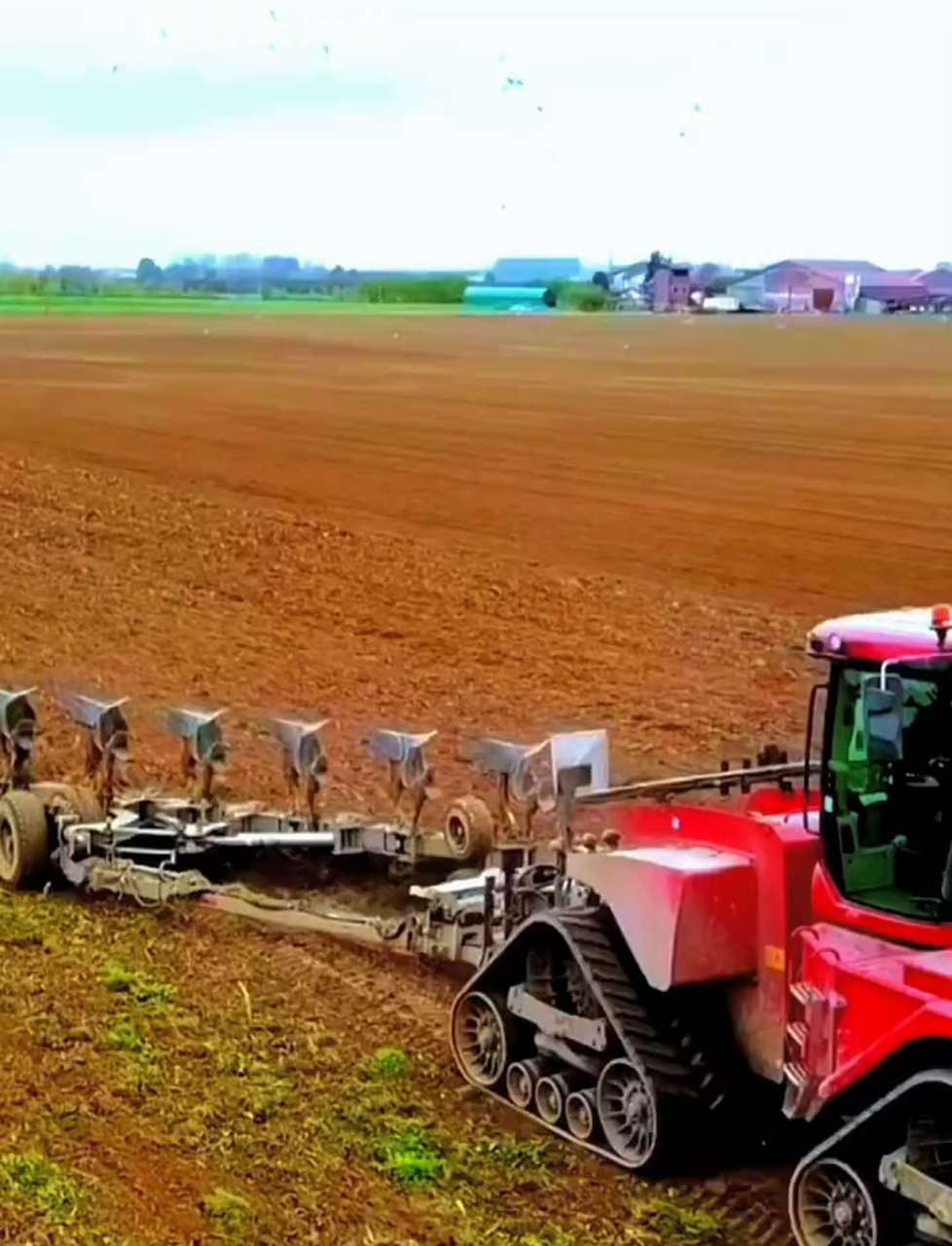 凯斯620型全履带拖拉机,620匹马力,耕地,平整土地,播种,一气呵成