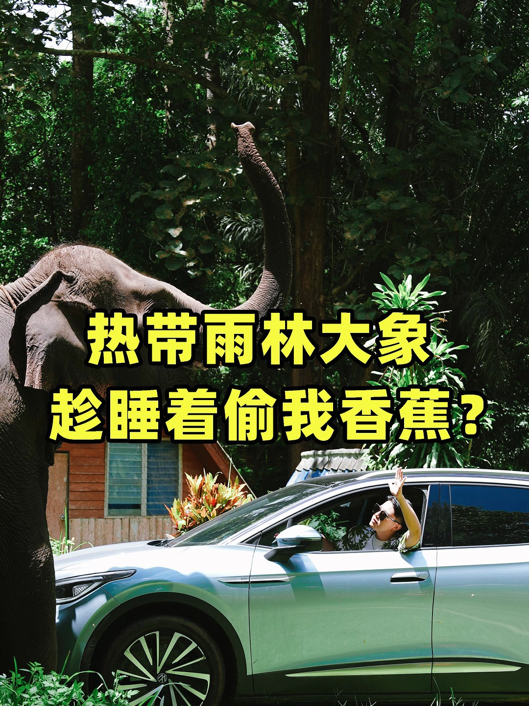 id4 x自驾东南亚