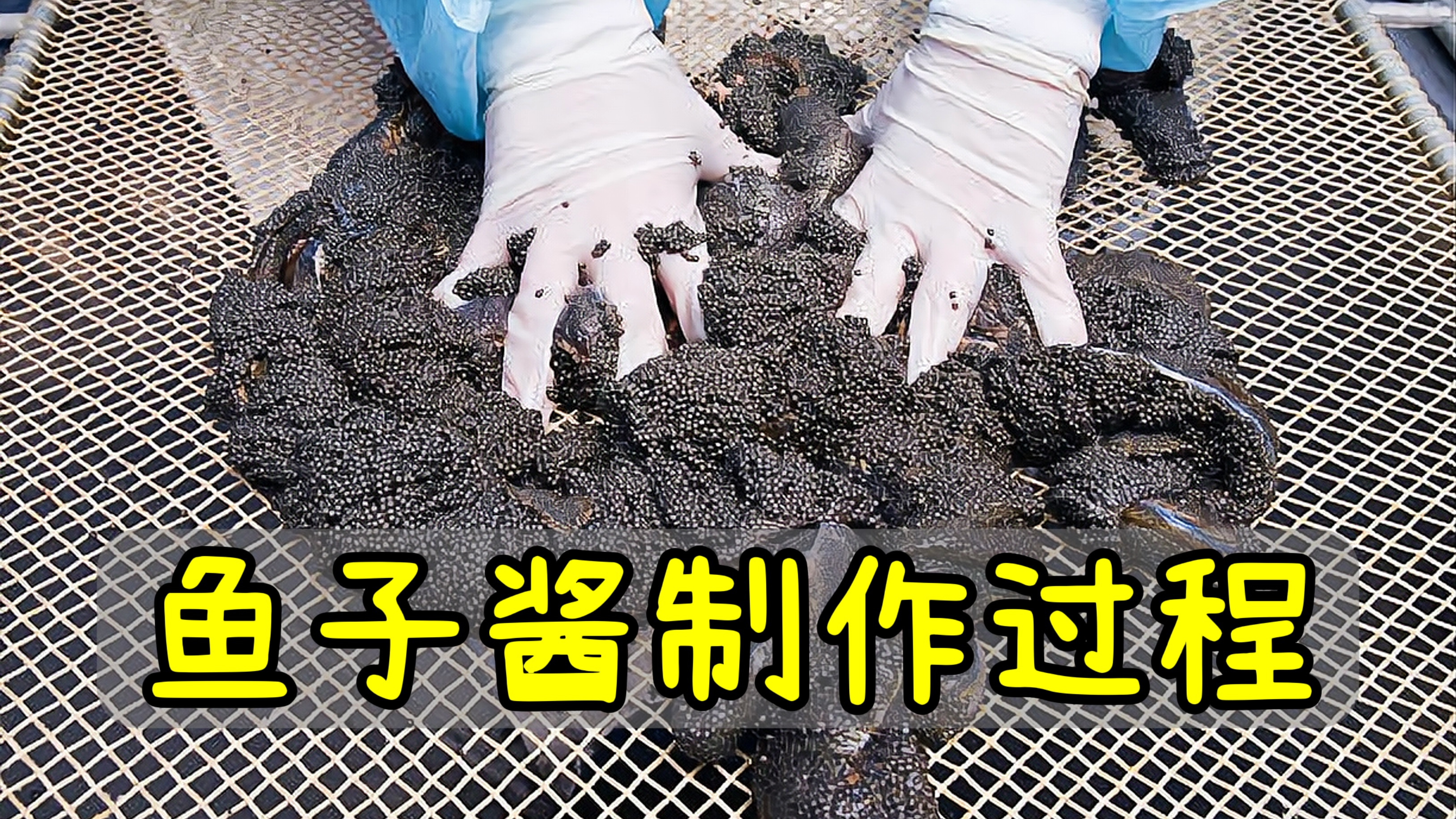 鱼子酱的制作过程