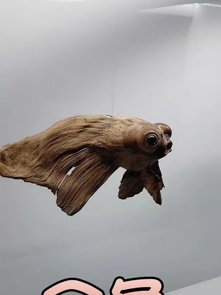 根雕艺术品,柏根《金鱼》