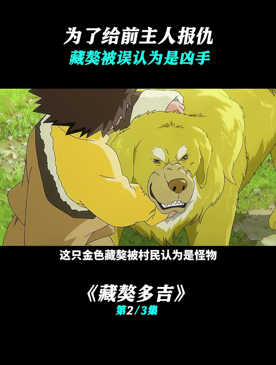 第二话:可怜的狗狗……藏獒多吉-度小视