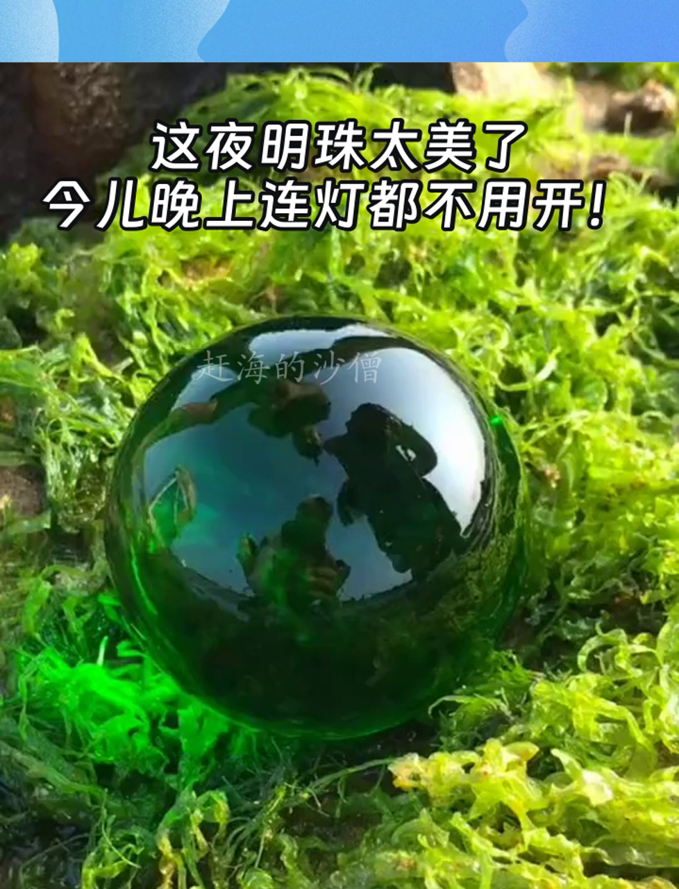 这夜明珠太美了,今儿晚上连灯都不用开!