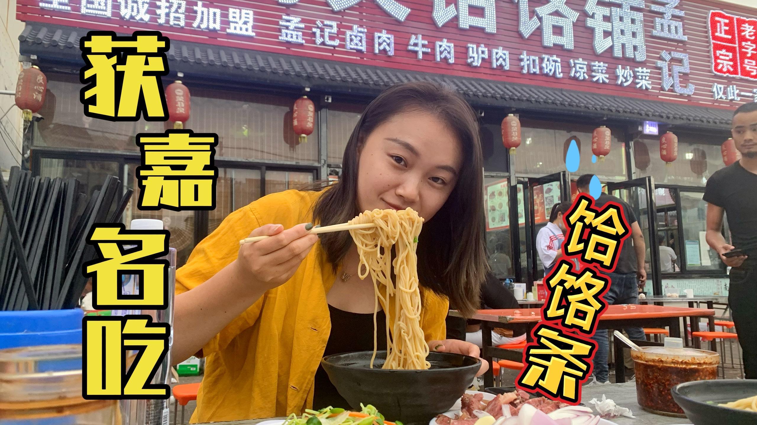 获嘉饸饹面和郏县饸饹面,到底哪个更正宗呢?那个口味更好一些呢