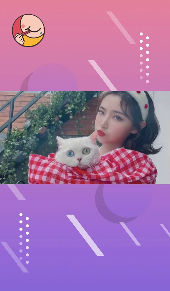 许佳琪的小猫q米去喵星了,它陪伴许佳琪无数度过了个日夜,希望q米在喵