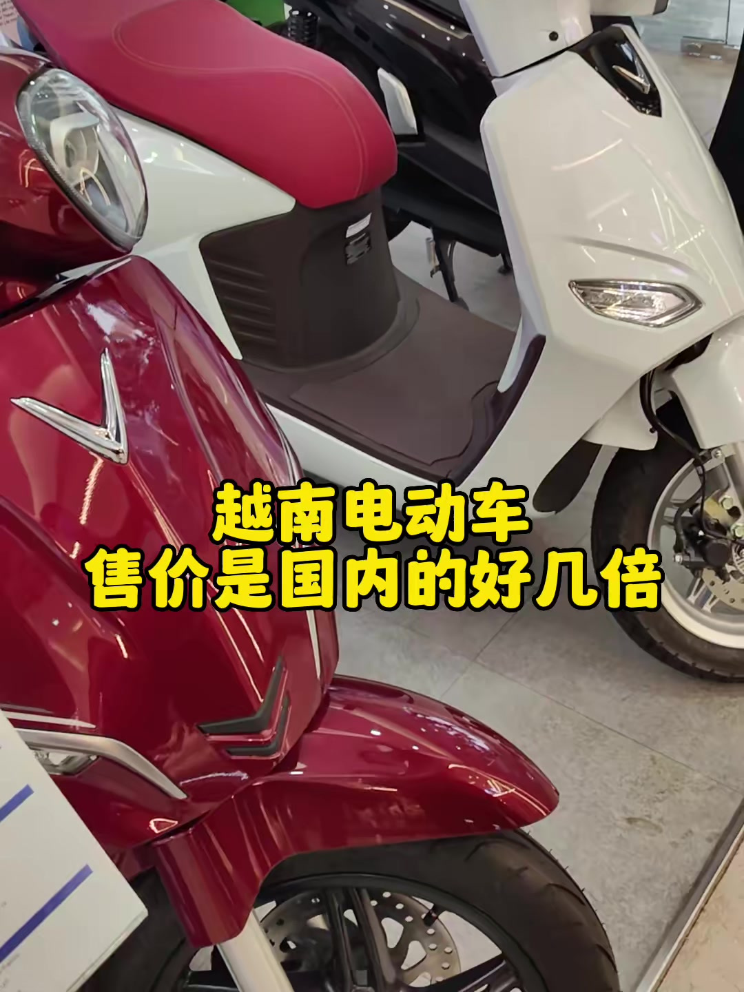 越南的电动车,售价是国内的好几倍!