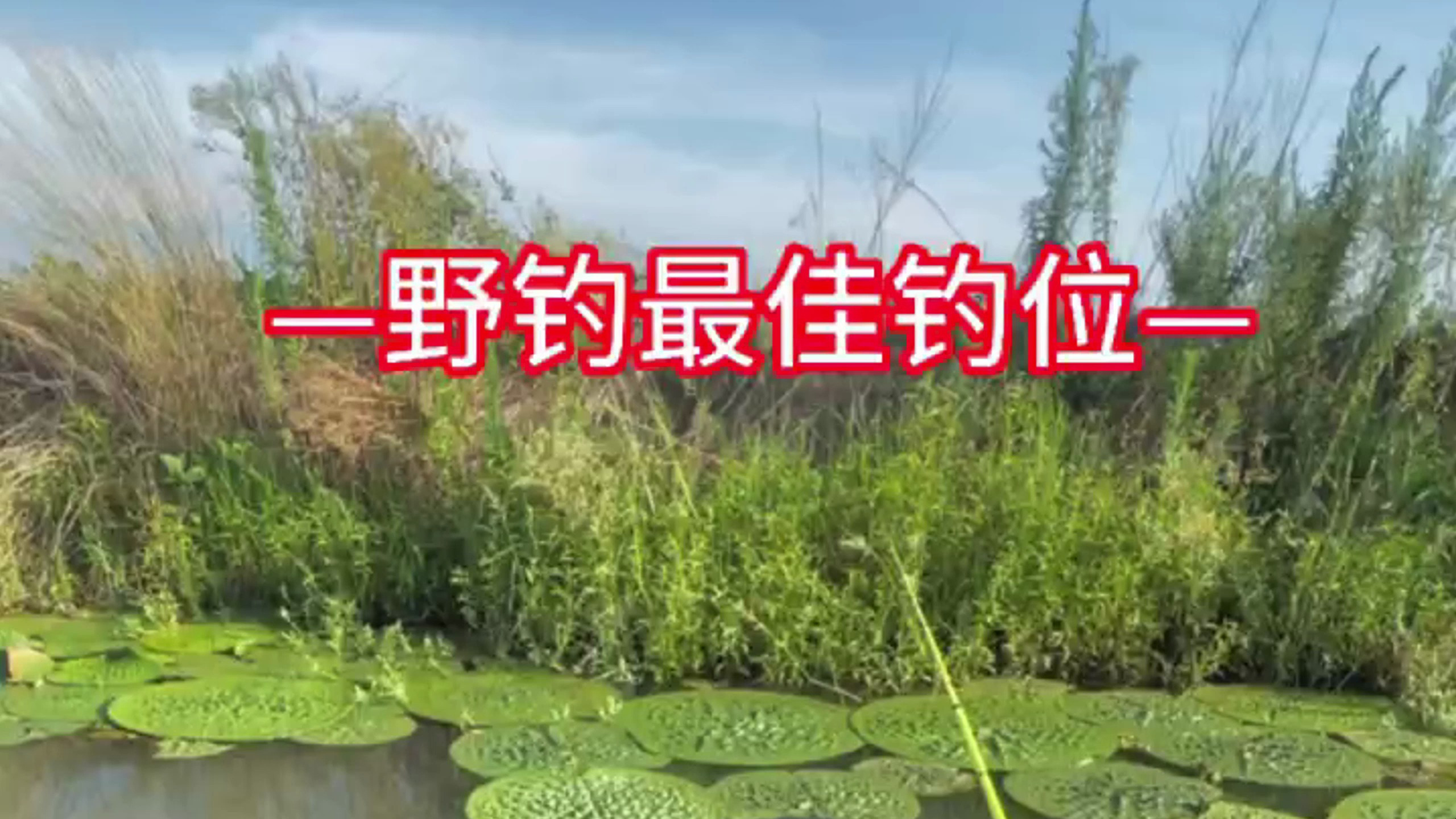 野钓硬知识又来了,选钓位黄金法则之一:静水找流水,流水找洄水