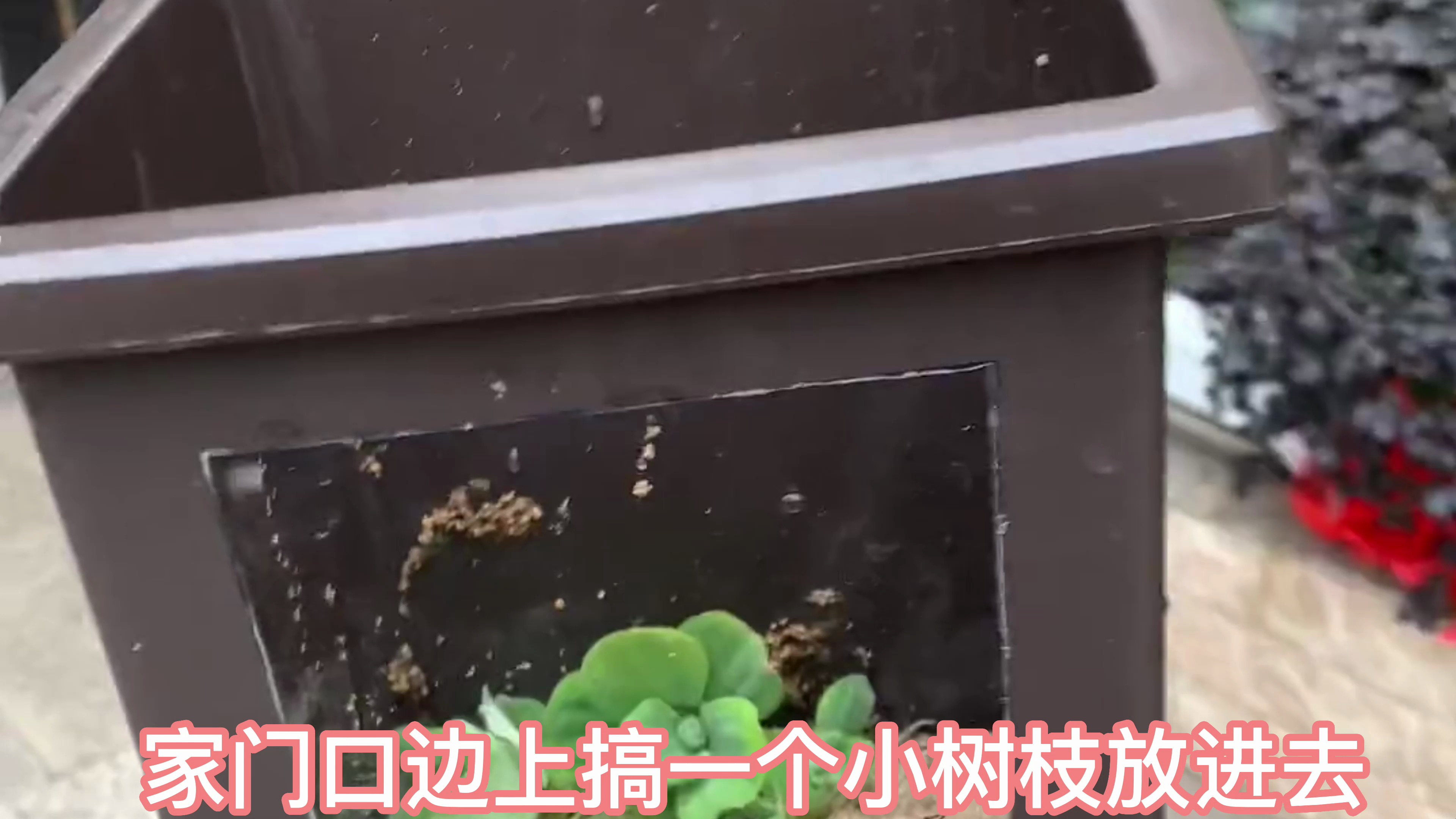 用花盆做一个创意小鱼缸!
